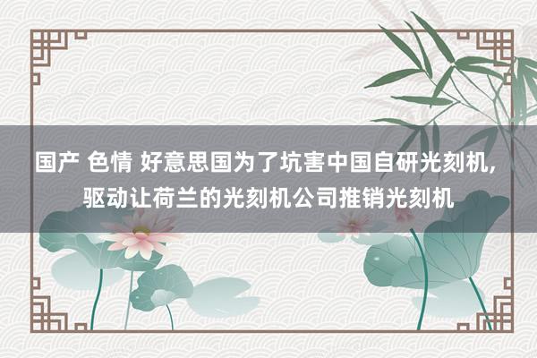 国产 色情 好意思国为了坑害中国自研光刻机， 驱动让荷兰的光刻机公司推销光刻机