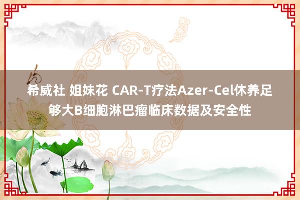 希威社 姐妹花 CAR-T疗法Azer-Cel休养足够大B细胞淋巴瘤临床数据及安全性