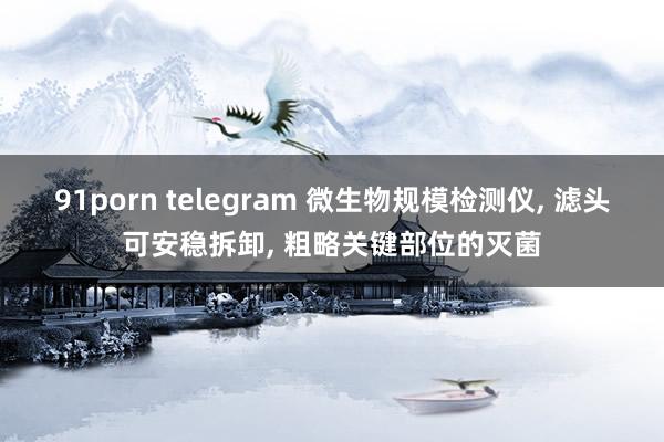 91porn telegram 微生物规模检测仪， 滤头可安稳拆卸， 粗略关键部位的灭菌