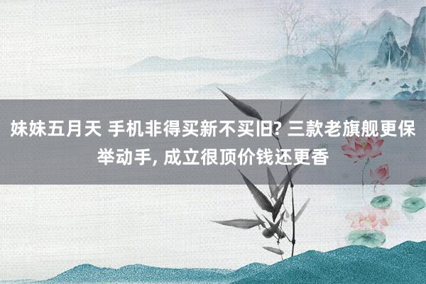 妹妹五月天 手机非得买新不买旧? 三款老旗舰更保举动手， 成立很顶价钱还更香
