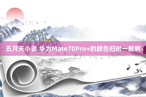 五月天小说 华为Mate70Pro+的颜色归附一般啊