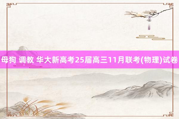 母狗 调教 华大新高考25届高三11月联考(物理)试卷