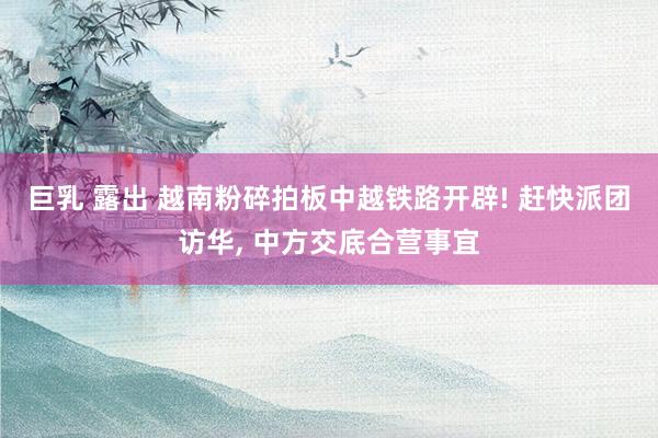 巨乳 露出 越南粉碎拍板中越铁路开辟! 赶快派团访华， 中方交底合营事宜