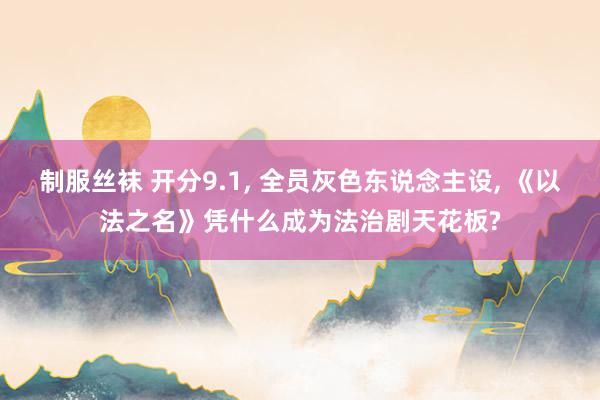 制服丝袜 开分9.1， 全员灰色东说念主设， 《以法之名》凭什么成为法治剧天花板?
